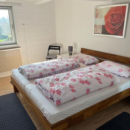 Gemuetliche Ferienwohnung Im Altbau Goslar Buitenkant foto